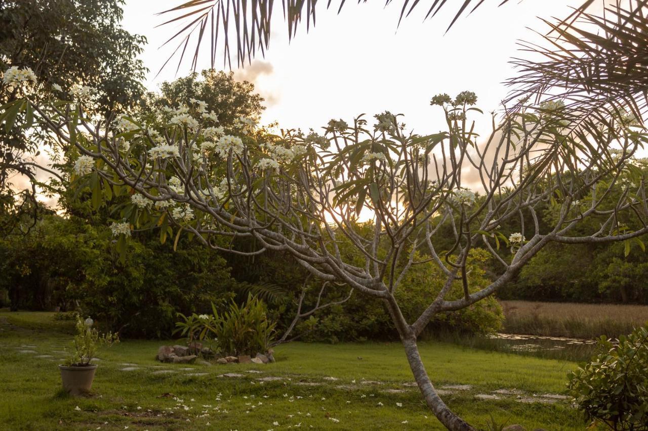 Pousada Lagoa Da Pedra Imbassai Eksteriør bilde