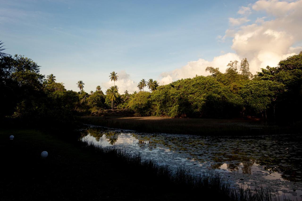 Pousada Lagoa Da Pedra Imbassai Eksteriør bilde